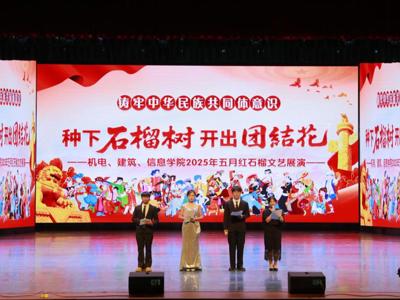 “种下石榴树 开出团结话”红石榴文艺演出！