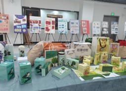 包装艺术设计专业简介