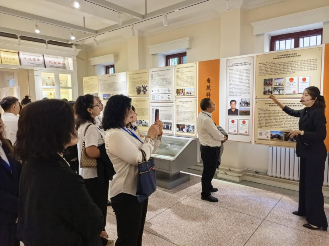 图片6.png 图片6.png