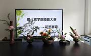 匠心融古今 花韵竞芳华