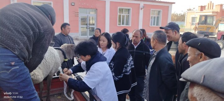 iwEcAqNqcGcDAQTRBP8F0QJABrC2rmMj6773-Qjk4bNpM0gAB9ImJ6HhCAAJomltCgAL0gADPjU.jpg_720x720q90