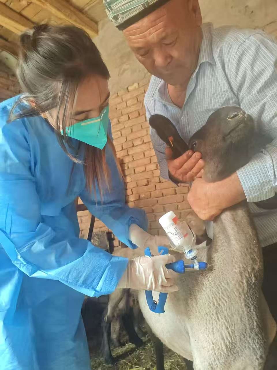 ec56ed1a3d3dc37722f62f757db3862d