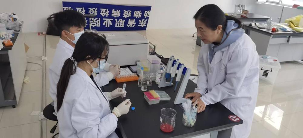 867dc757dc0eb2e084361994a6e3b893