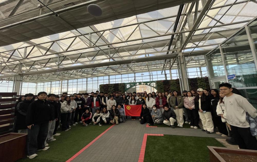 e01a354b3eec106808f3776b165311de