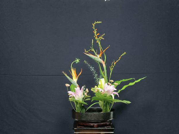 DJI_20260108_131824_91