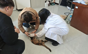 爱心护生显担当 立德树人践初心 救助流浪猫简报(1)