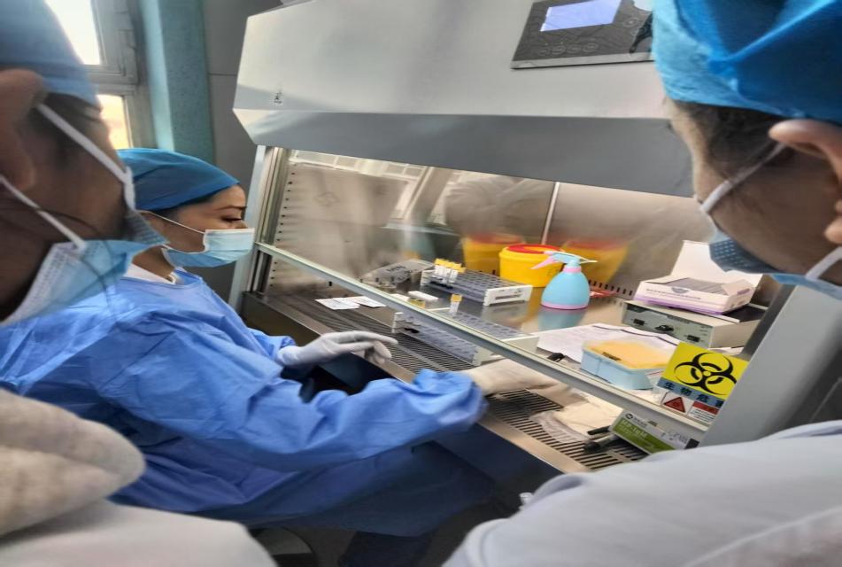 mmexport1765427383125